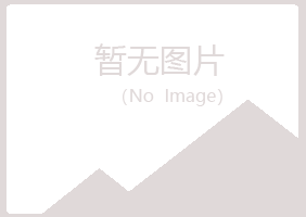 上海宝山埋没化学有限公司